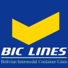 BIC Lines